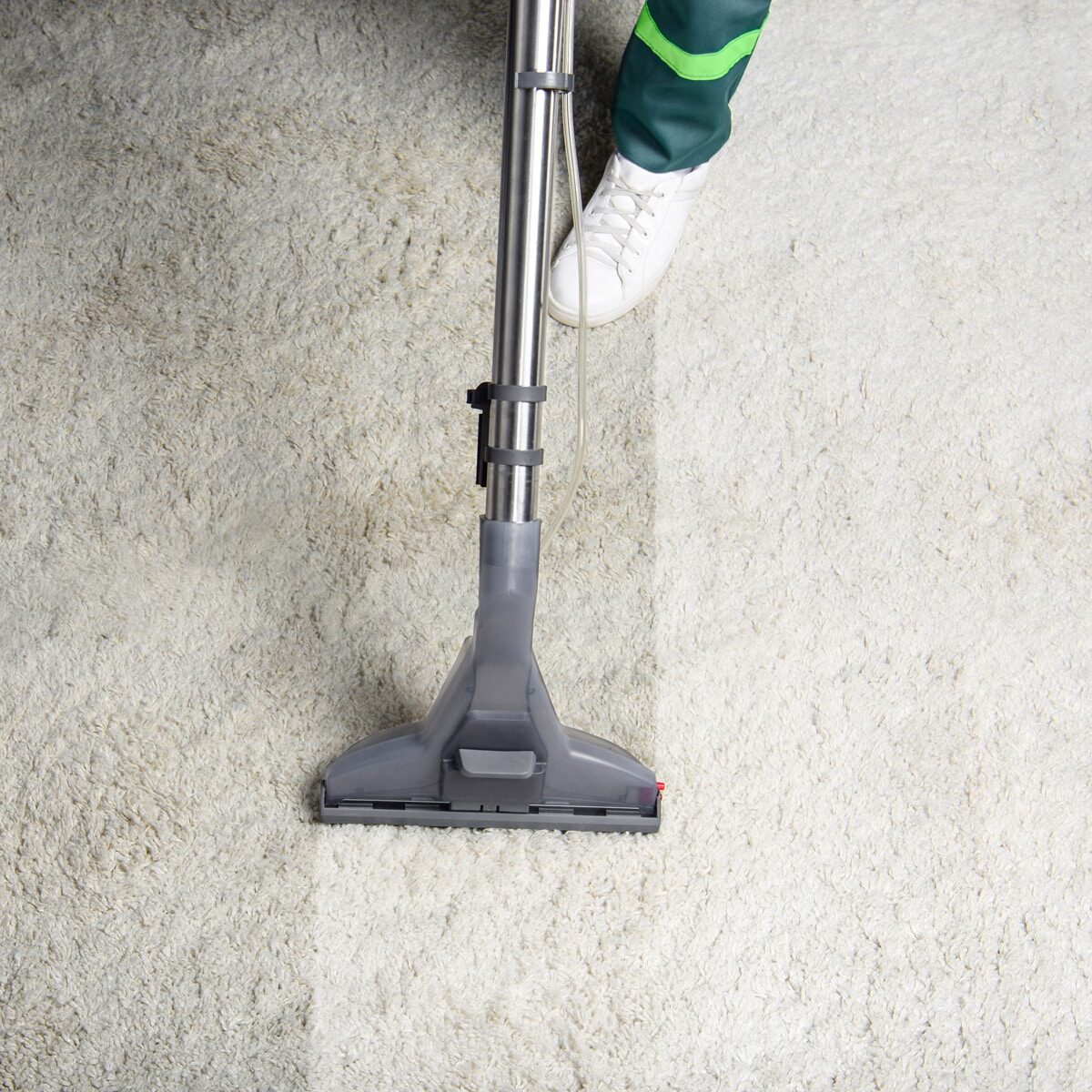 Carpet Cleaning products products available from Industrial Commercial Sanitation Supplies in Sussex, New Brunswick.